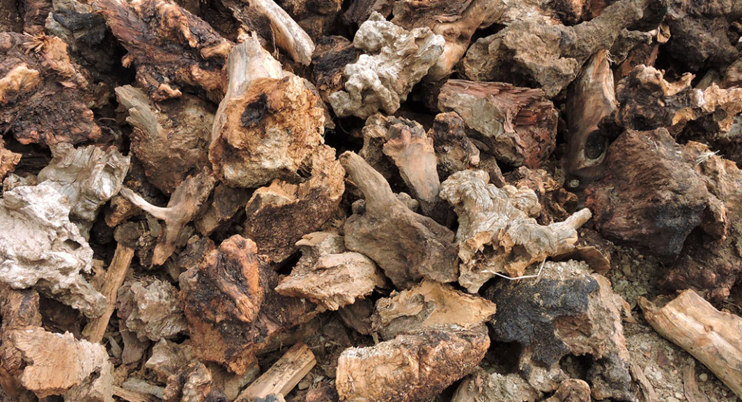 Jackson's Firewood Dry & Delivered Barossa, Gawler, Northern Suburbs & Plains Jacksons