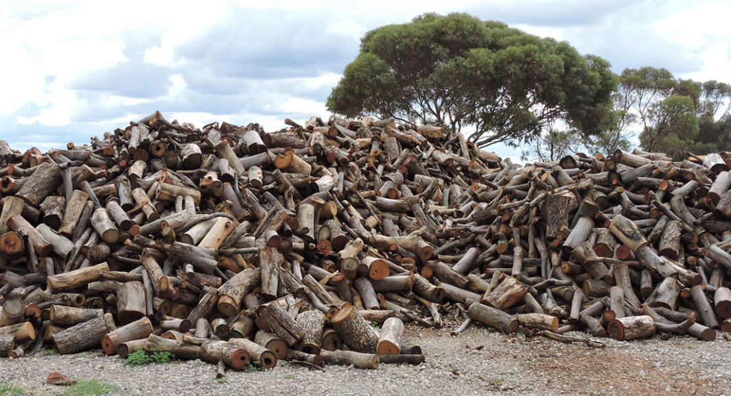Jackson's Firewood Dry & Delivered Barossa, Gawler, Northern Suburbs & Plains Jacksons