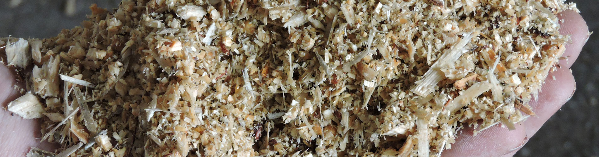 sawdustandwoodshavingsforchickencoopsfromguyjacksons3 Guy Jackson Firewood, Slashing