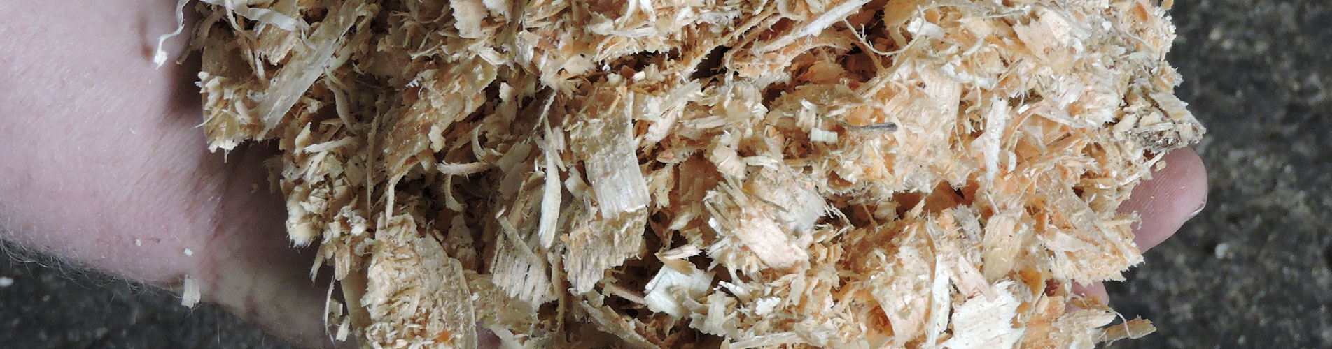 sawdustandwoodshavingsforchickencoopsfromguyjacksons5 Guy